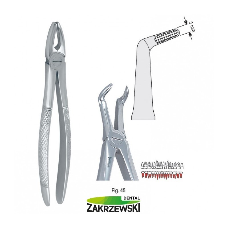 Клещи бертены фиг.45 для нижних корней Сокола