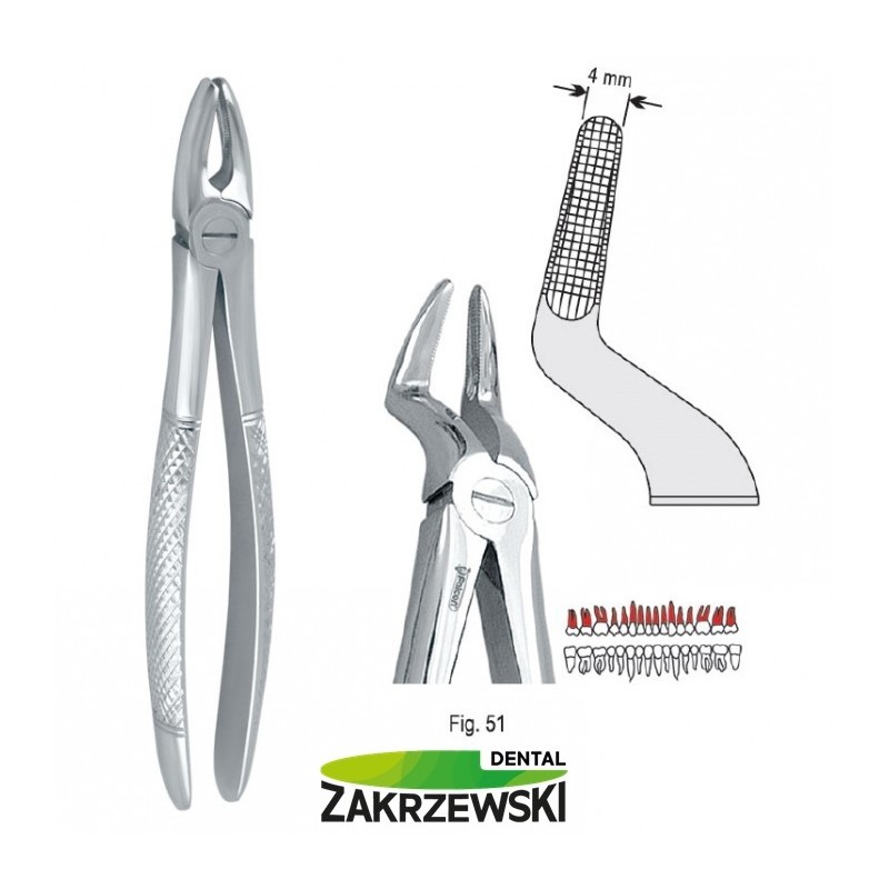 Клещи бертены фиг.51 к верхним корням Сокола