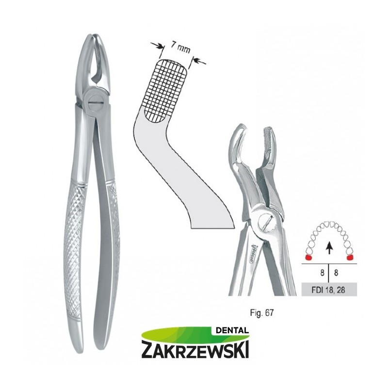 Клещи бертены фиг.67 для зубов мудрости верхнего Сокола