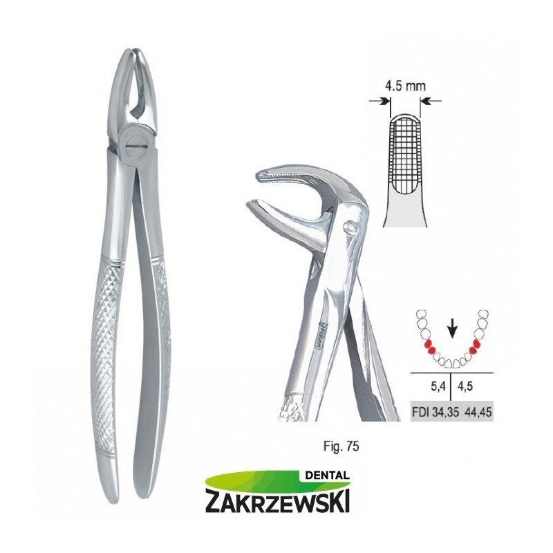 Клещи бертены фиг.75 для нижних премоляров Falcon