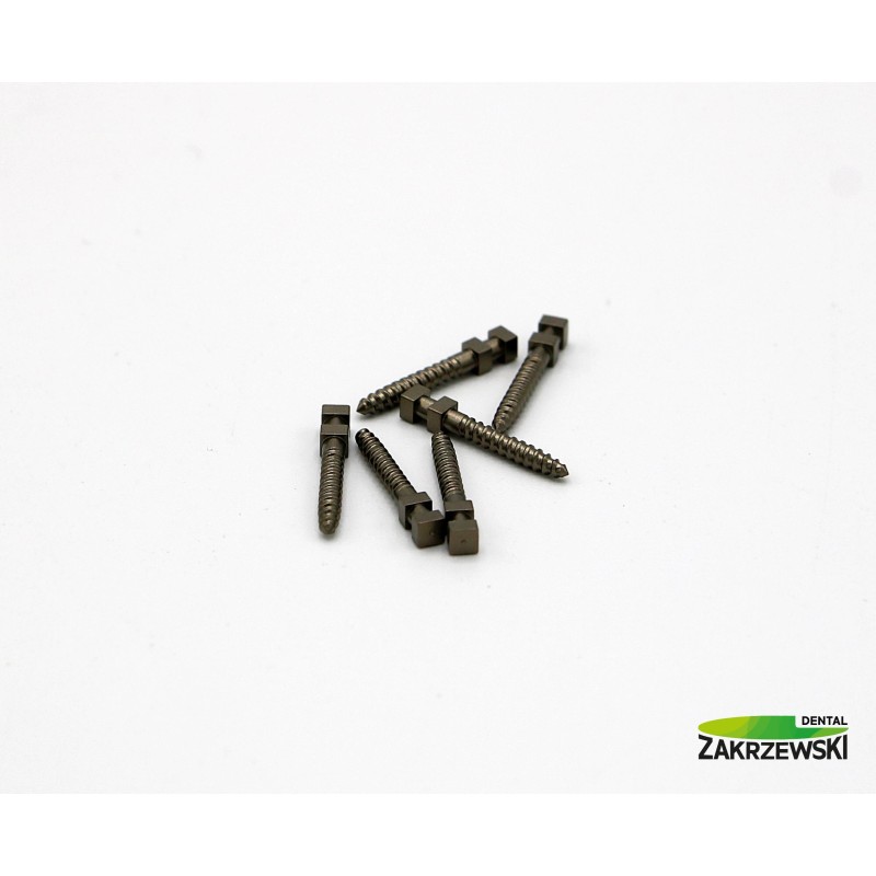 Титановые палочки Ass. op. 120 шт.+ ключ Swedent