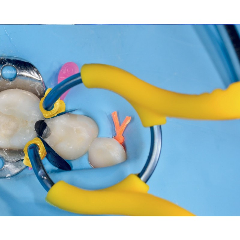 MyJunior Kit 6330 комплект Polydentia